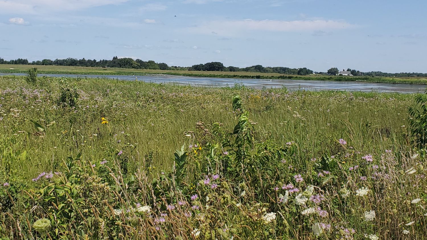 Muirhead Forest Preserve 